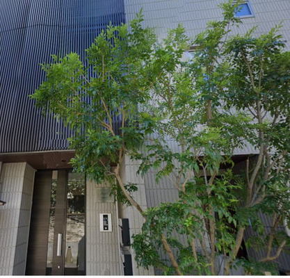 東京都文京区西片２丁目 賃貸マンション 1LDK
